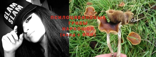 прущая мука Богданович